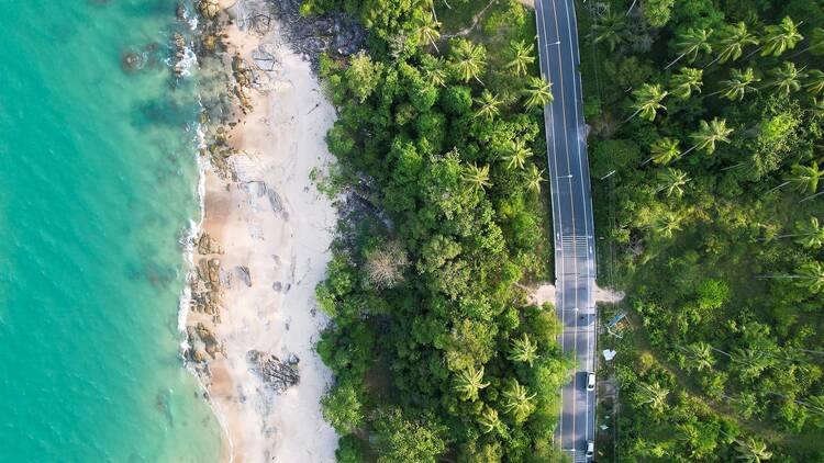 Car driving tropical beach road trips holiday. Top view drone urban street road seaside during sunset. Most green coconut trees wood summer famous landmark in Phuket,Thailand. copy space 2022