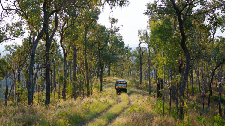 Ipswich to Scenic Rim