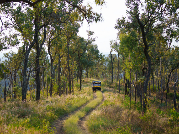 Ipswich to Scenic Rim