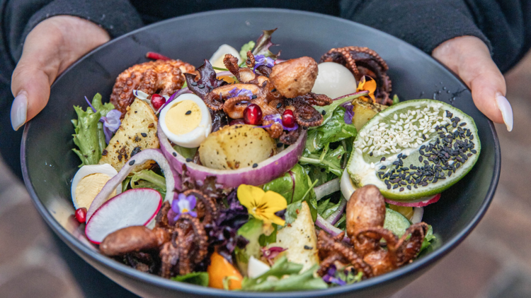 A bowl of salad with baby octopus.