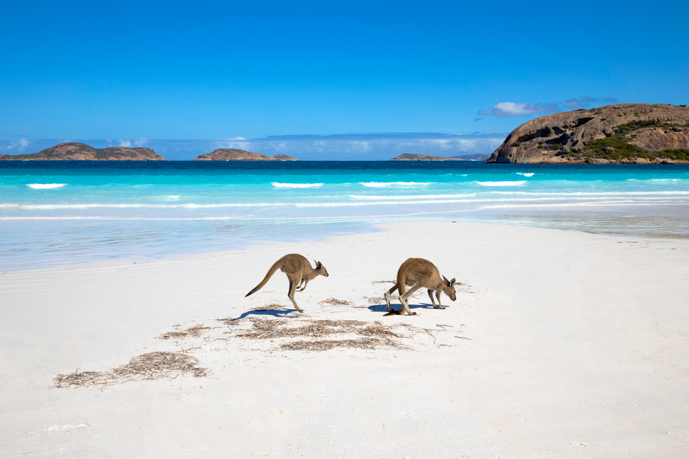 The best beaches Australia