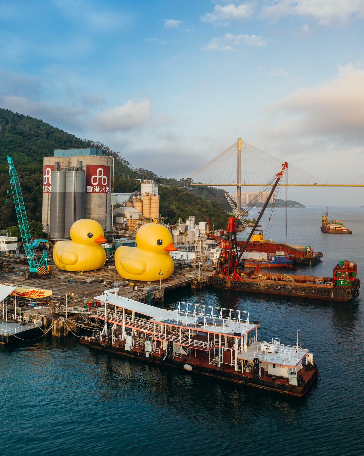The giant inflatable rubber duck returns to Hong Kong after a decade