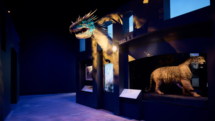 Fantastic Beasts: The Wonder of Nature at Melbourne Museum