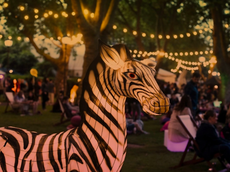 Zoo Nights at London Zoo