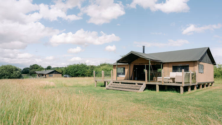 A safari cabin in a field 