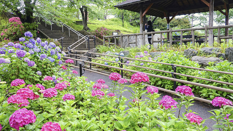 多摩川台公園