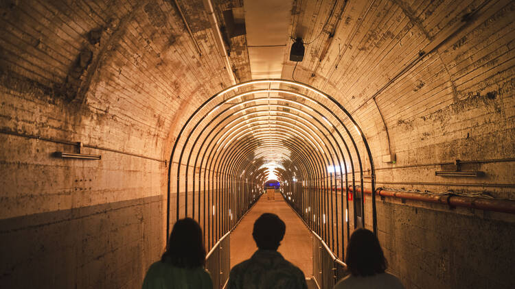 Dark Spectrum tunnel walk