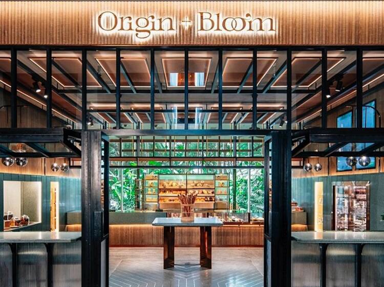 Origin + Bloom
