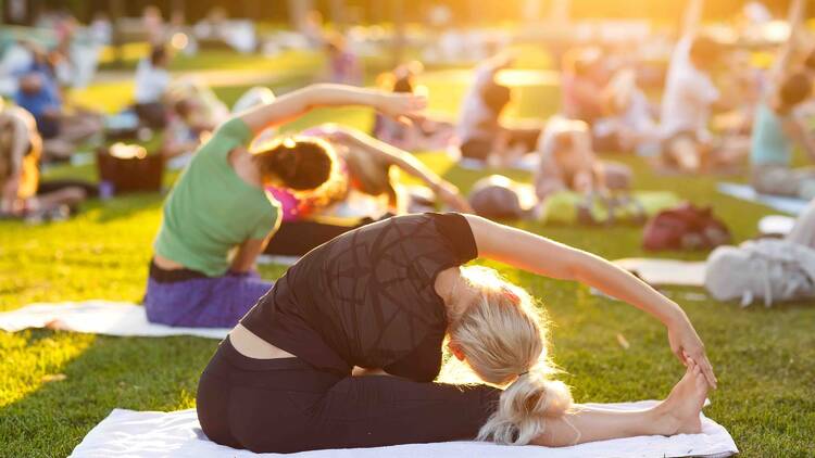 People doing yog