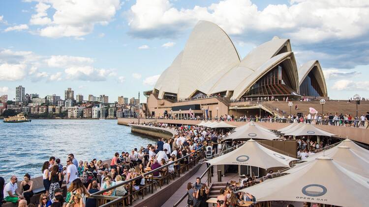 Sydney Opera House, harbour and bars.