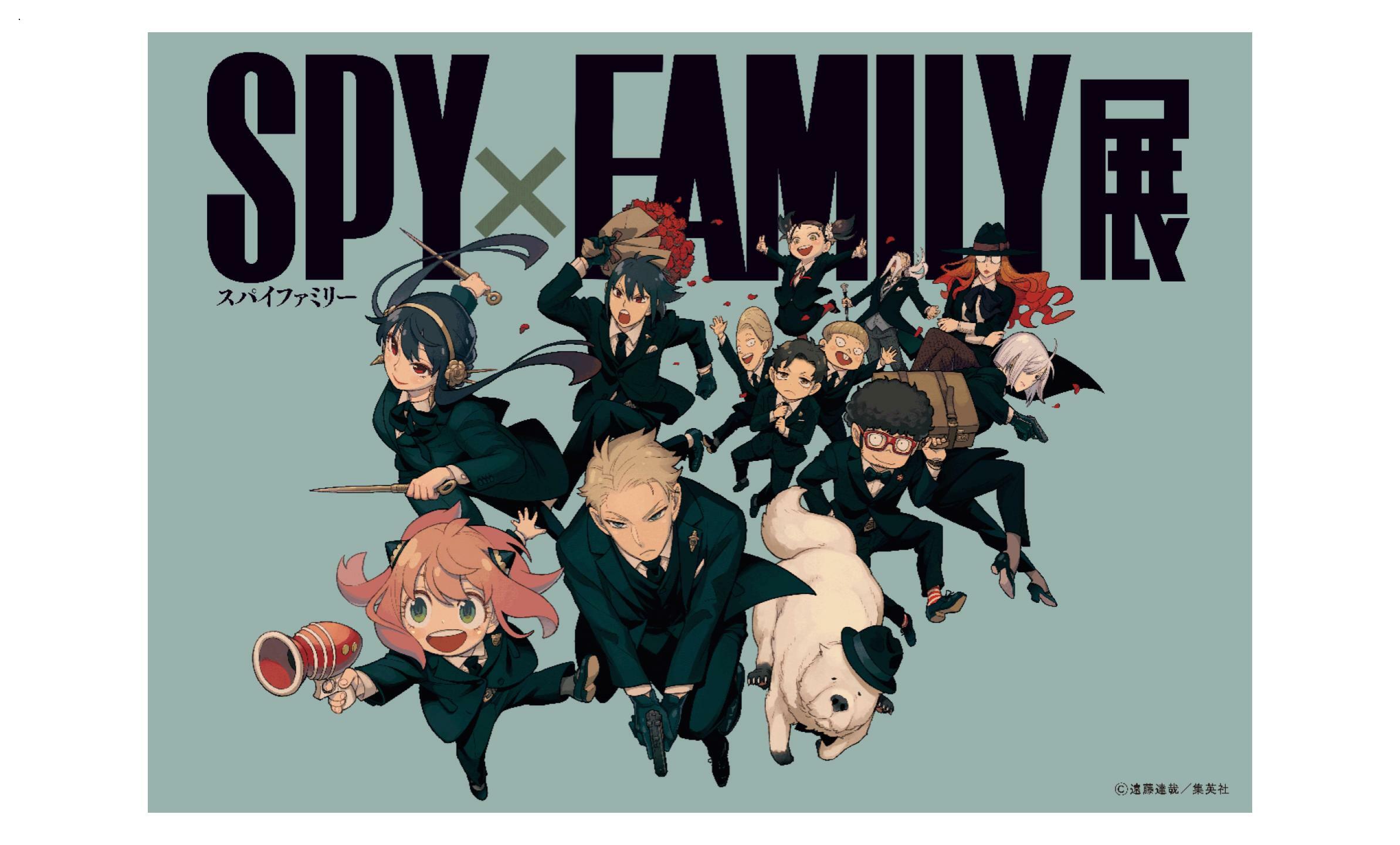 SPY×FAMILY展　SPY×FAMILY B2ポスター　新品未開封 Amazon.com: Skinhub 12