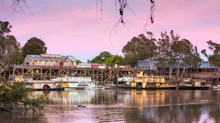 The Echuca port at dawn with pink and purple skies.