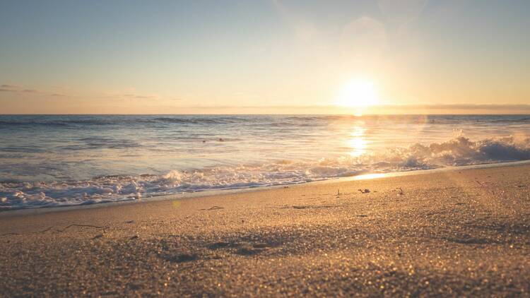 Illinois Beach State Park