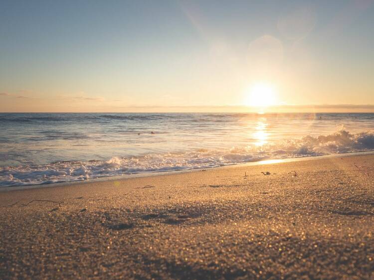 Illinois Beach State Park