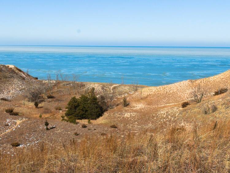 Indiana Dunes State Park