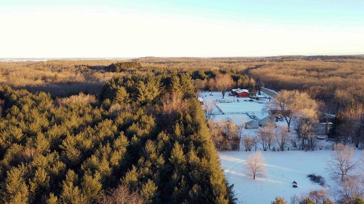 Kettle Moraine State Forest