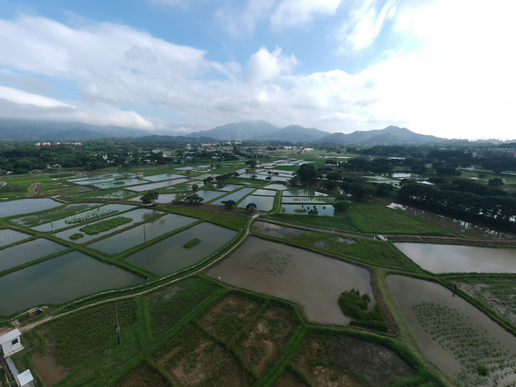 Sheung Shui Long Valley