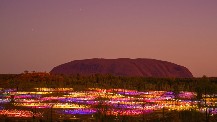 Field of light at Uluru 