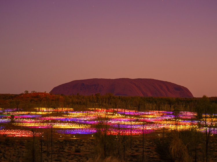 Experience Uluru's Field of Light installation