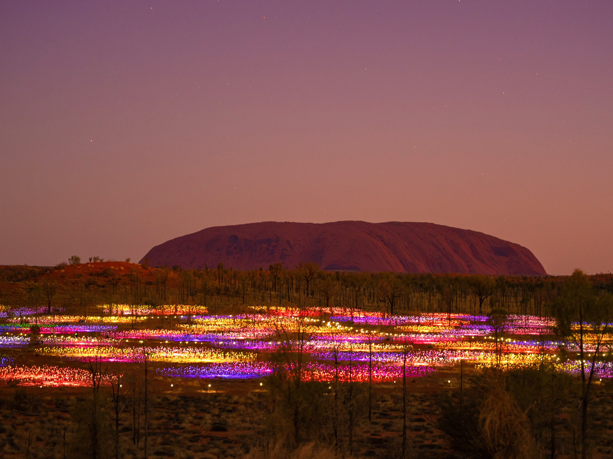 Field of light at Uluru 