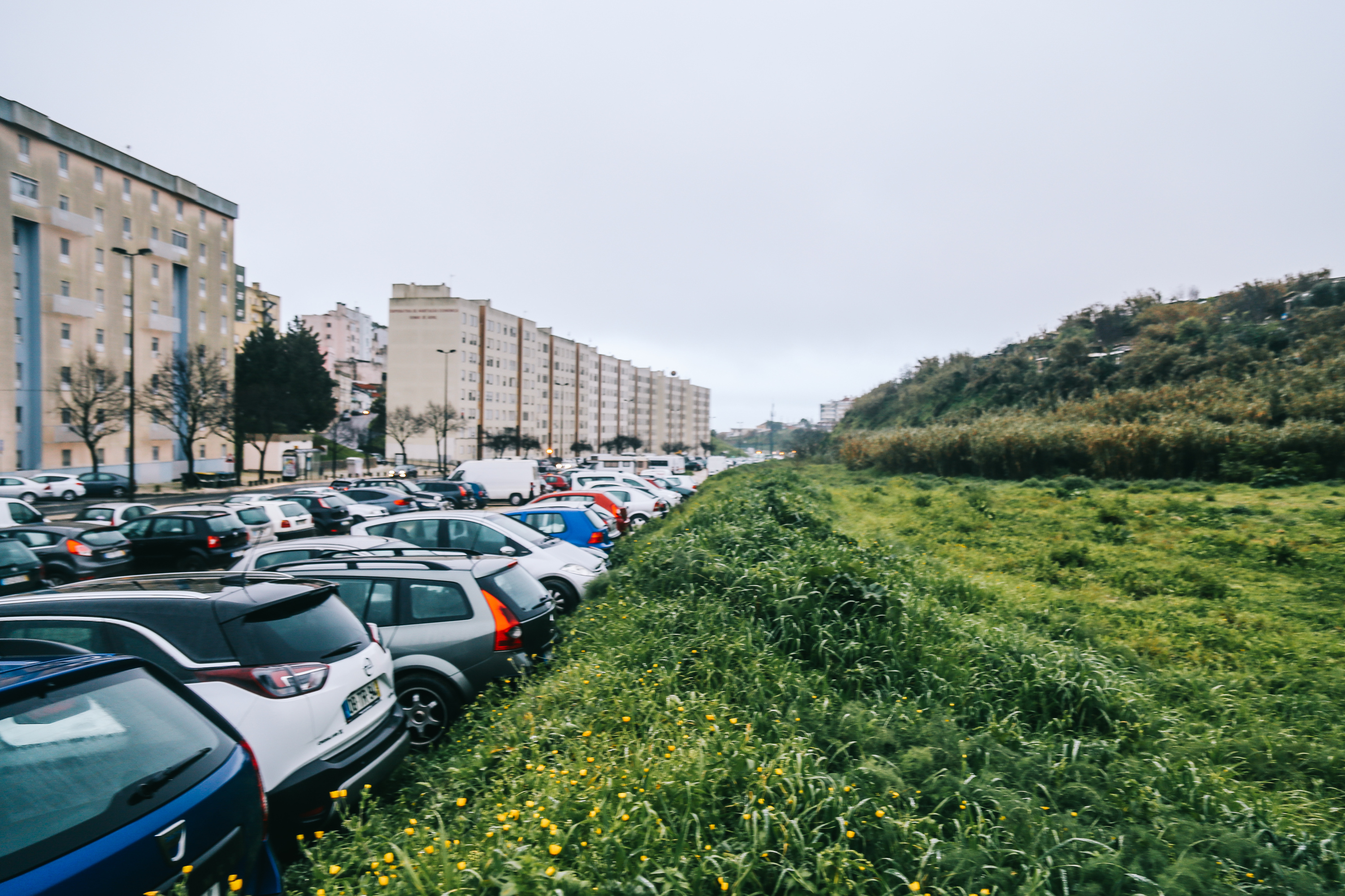 revenu abordable, parc verdoyant et piste cyclable