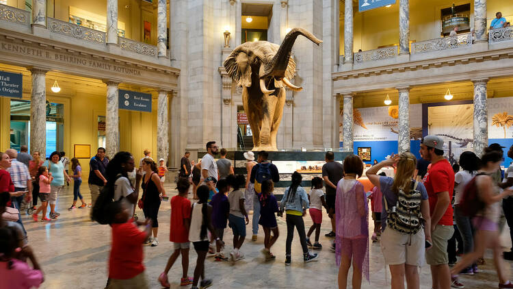 Visitors at the Main Hall of the National Museum of Natural History in Washington D.C.