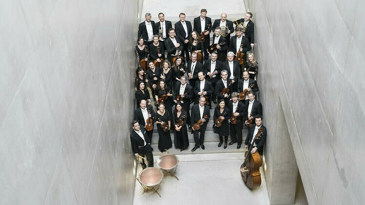 Salzburg Mozarteum  Orkestrası &  Arabella Steinbache