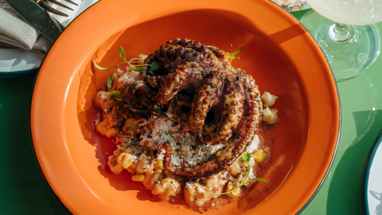 Taqiza grilled octopus in an orange plate