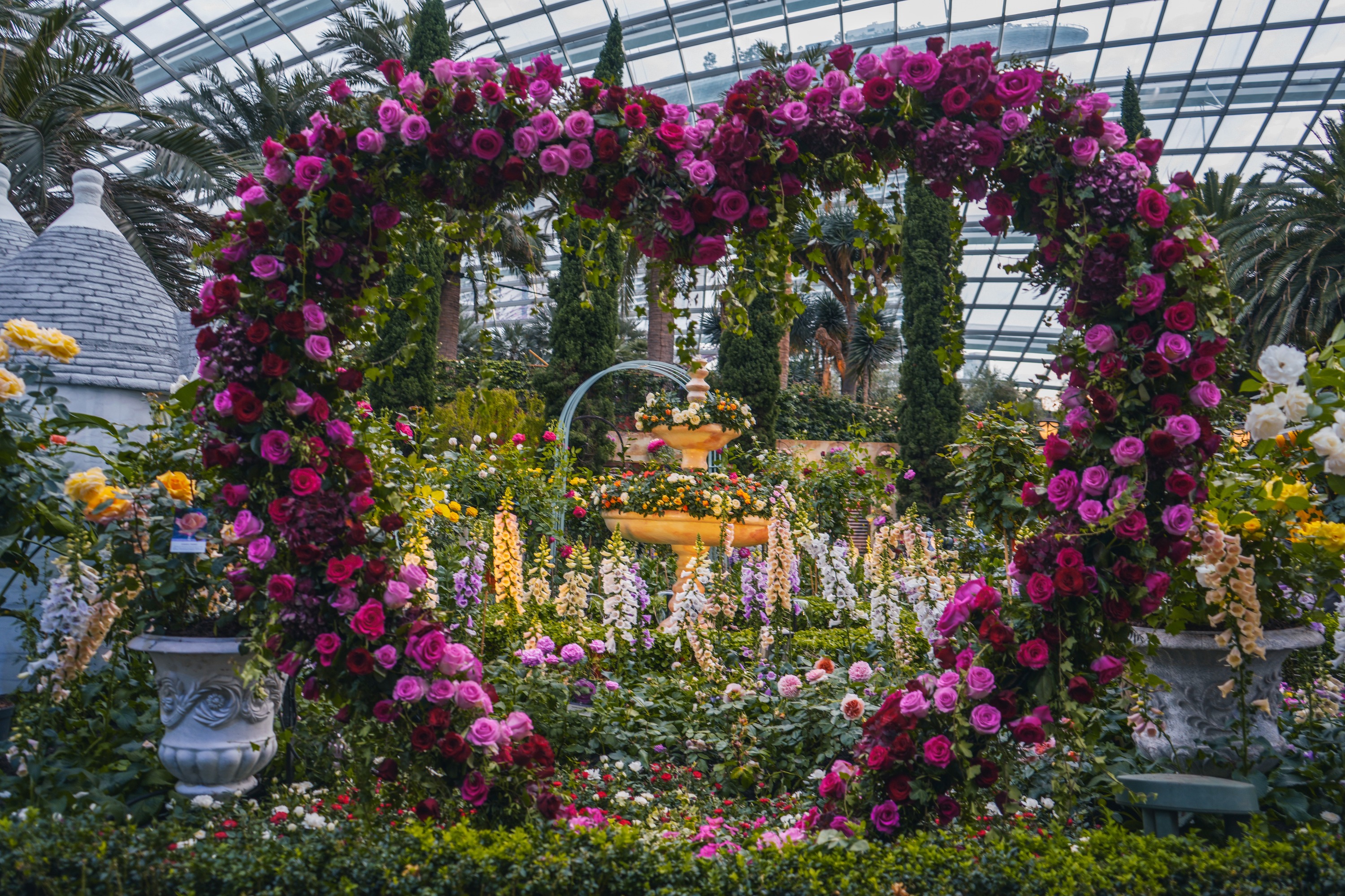 Rose Romance | Things to do in Singapore