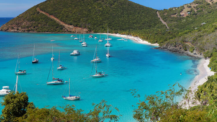 Panoramic view of tropical shoreline in British Virgin Island (BVI), Caribbean