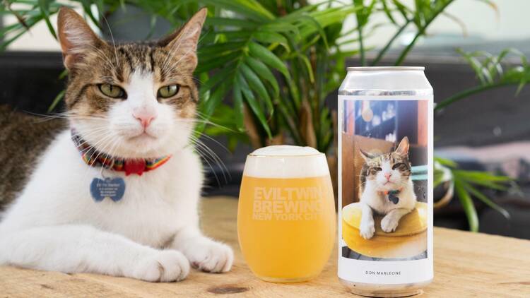 Drink at Evil Twin Brewing