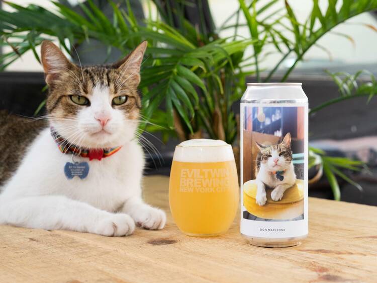 Drink at Evil Twin Brewing