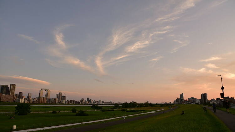  淀川河川公園 (yodogawa-park.jp)