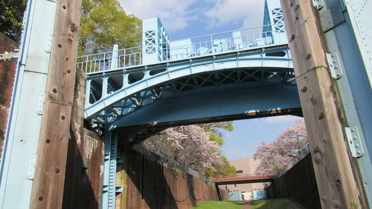 淀川河川公園 (yodogawa-park.jp)