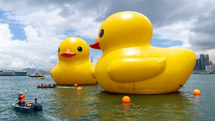 Bid farewell to the rubber ducks on Father's Day this weekend