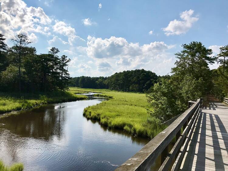 Junction & Breakwater Trail | Rehoboth Beach, DE