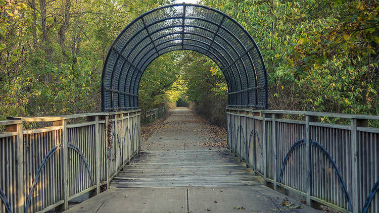 A paved trail goes through a curved metal archway, with lots of green trees on either side