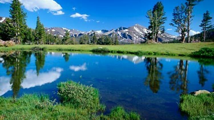 Tuolumne Meadows