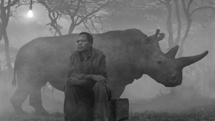 Nick Brandt: The Day May Break (Tamara Kreisler).