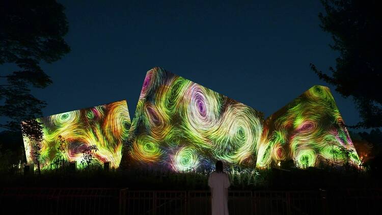 Photo: teamLab, Sculptures of Dissipative Birds in the Wind © teamLab