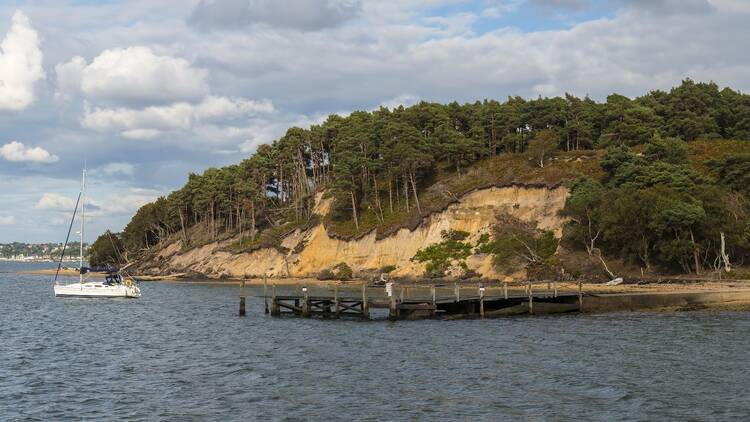 Brownsea Island, Dorset