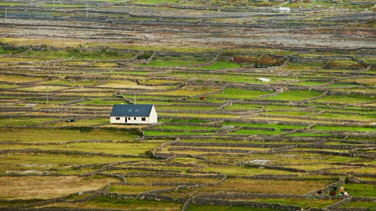 Ireland, house and fields