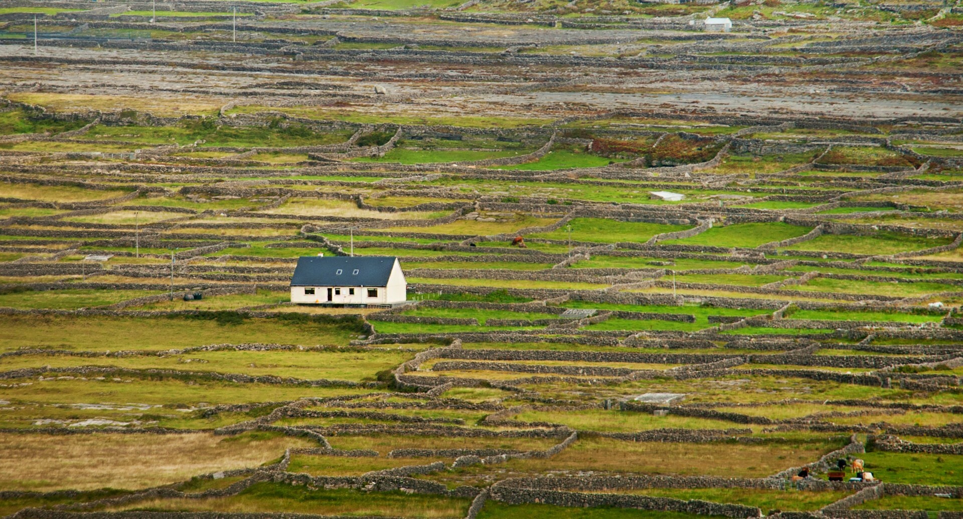 Get Paid Over €80,000 to Move to an Island Off the Coast of Ireland