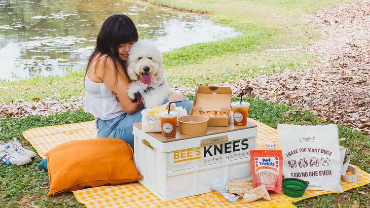 Bee's Knees' Picnic Buzzkets