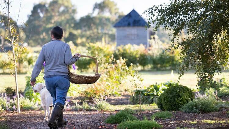 Annie Smithers walking through her farm with a basket.