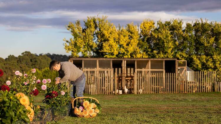 Annie Smithers picking flowers.