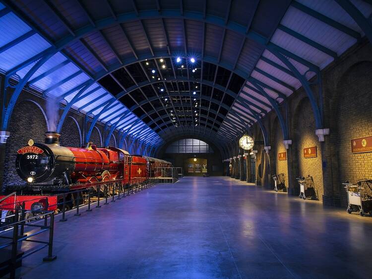 Immerse yourself in a magical experience