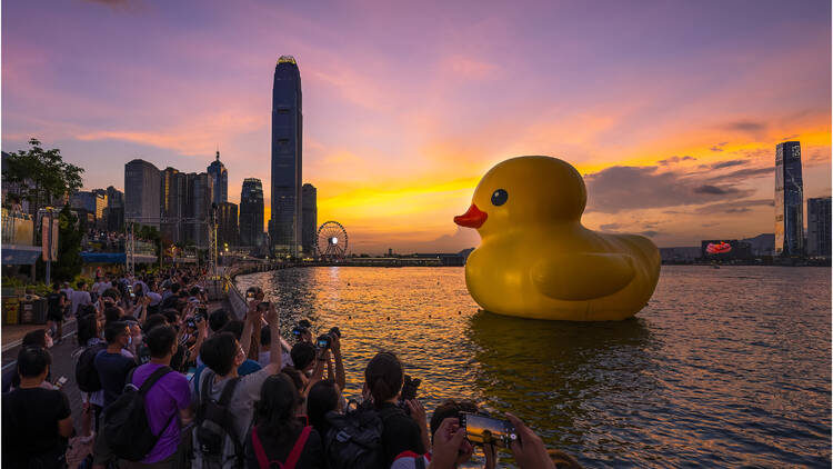 Double ducks hong kong