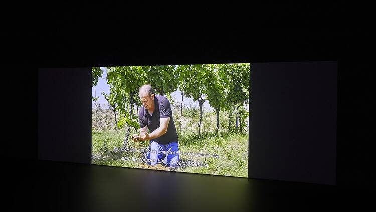 Angela Melitopoulus. Cine(so)matrix (Reina Sofia).