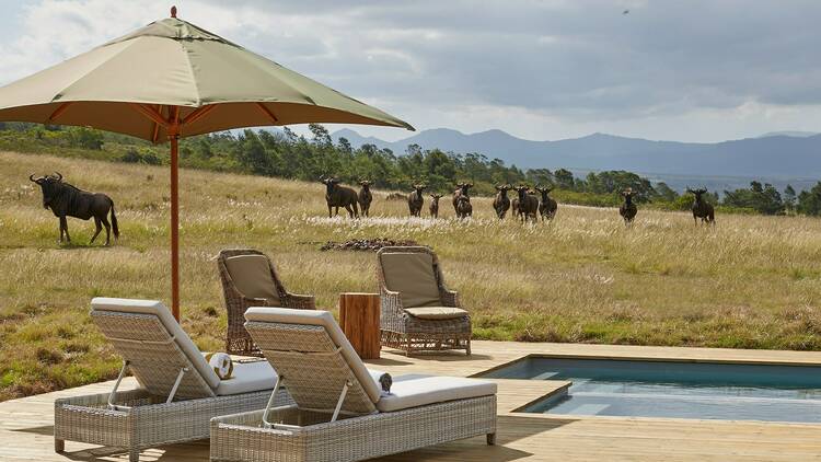 Gondwana Private Game Reserve